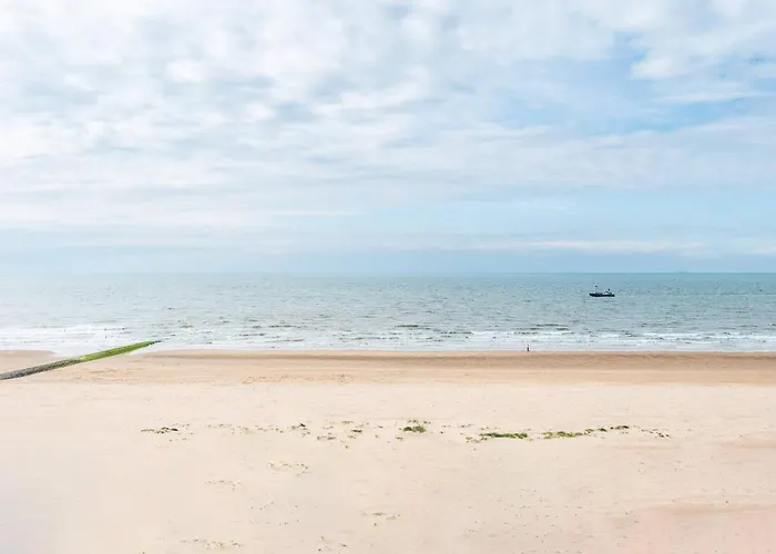 Beautiful With Sea Views And Parking