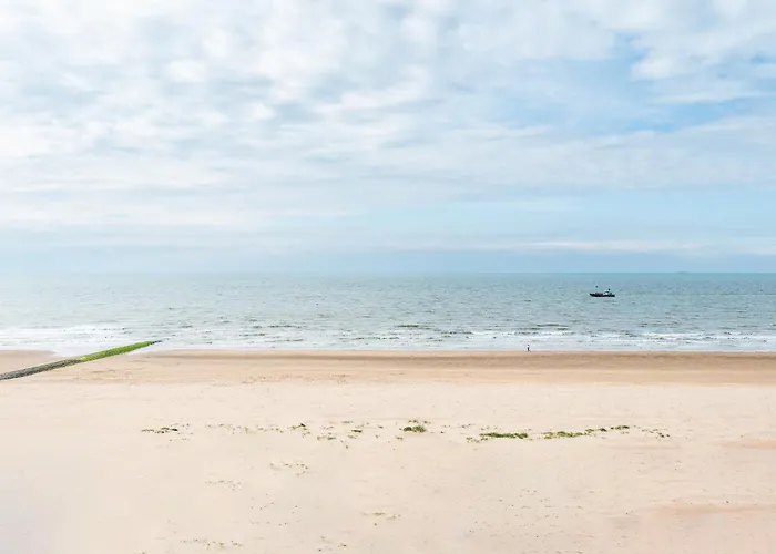 Beautiful With Sea Views And Parking *